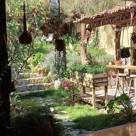 Apartamento En El Vivero Tilcara Buitenkant foto