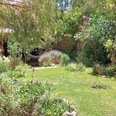 Apartamento En El Vivero Tilcara Buitenkant foto