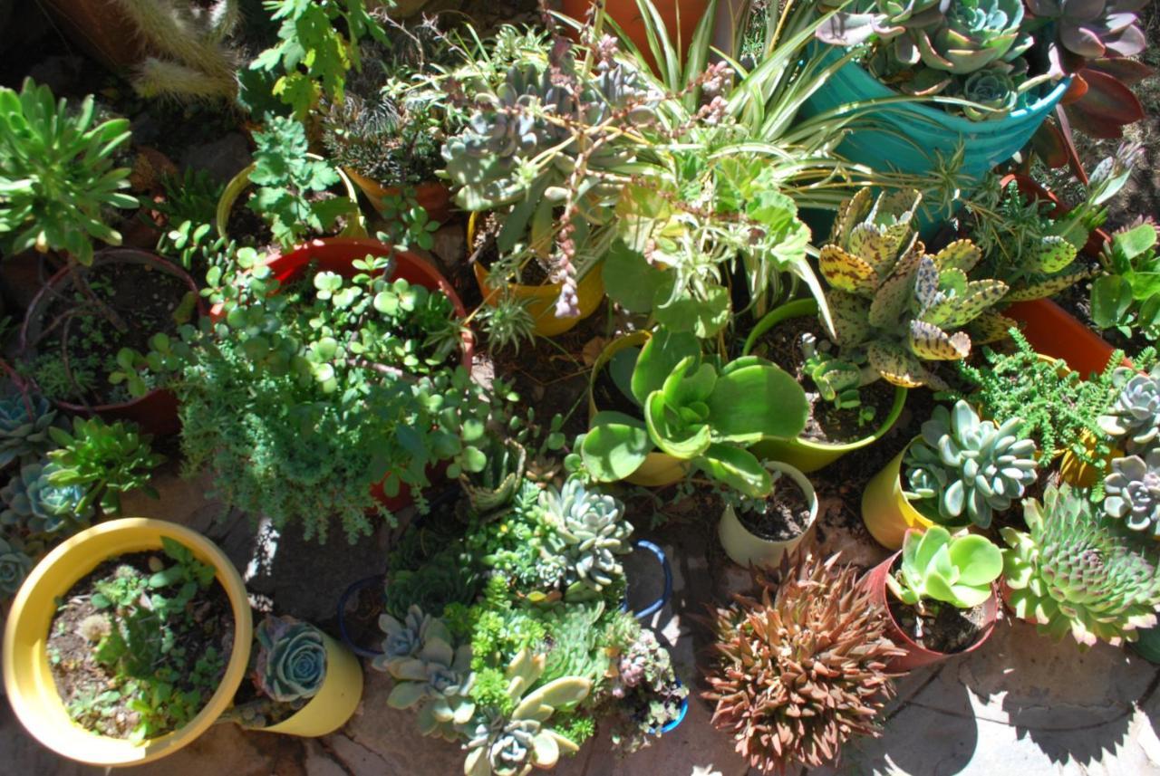 Apartamento En El Vivero Tilcara Buitenkant foto