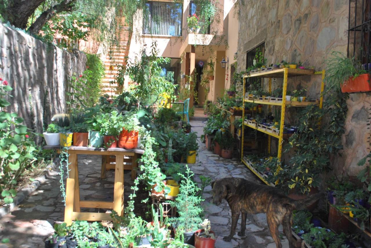 Apartamento En El Vivero Tilcara Buitenkant foto