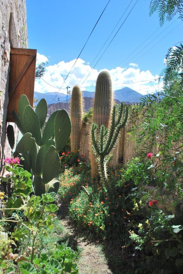 Apartamento En El Vivero Tilcara Buitenkant foto